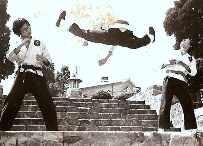 Taekwondo International Dojangs