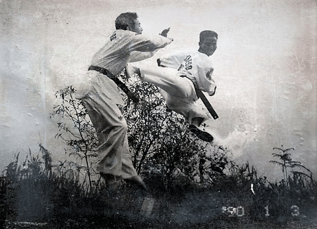 Taekwondo International Dojangs