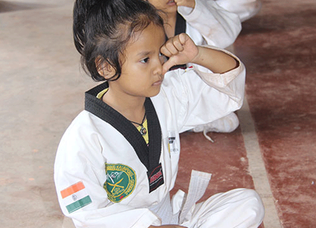 Taekwondo International Dojangs