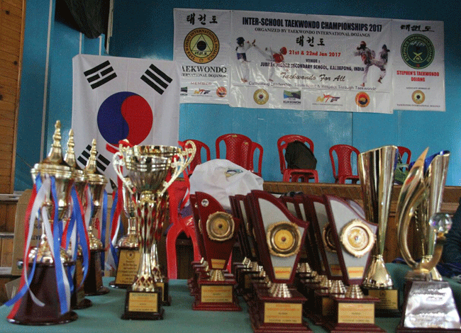 Taekwondo International Dojangs