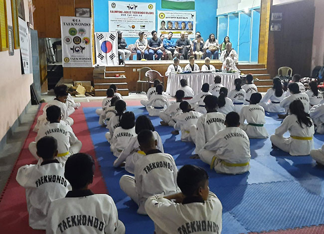 Taekwondo International Dojangs