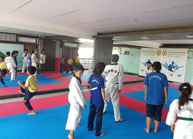 Taekwondo International Dojangs