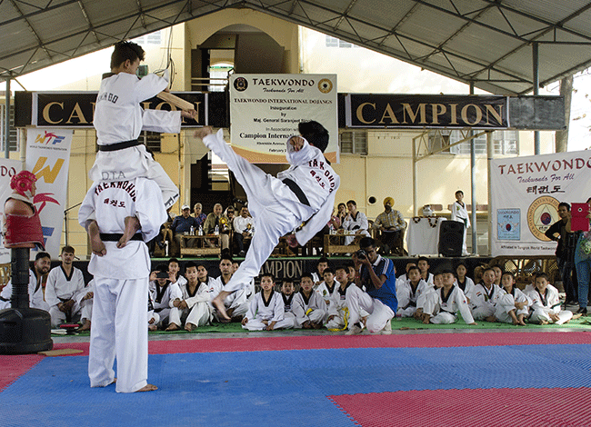 Taekwondo International Dojangs