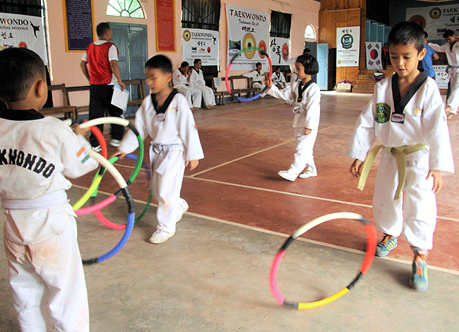 Taekwondo International Dojangs