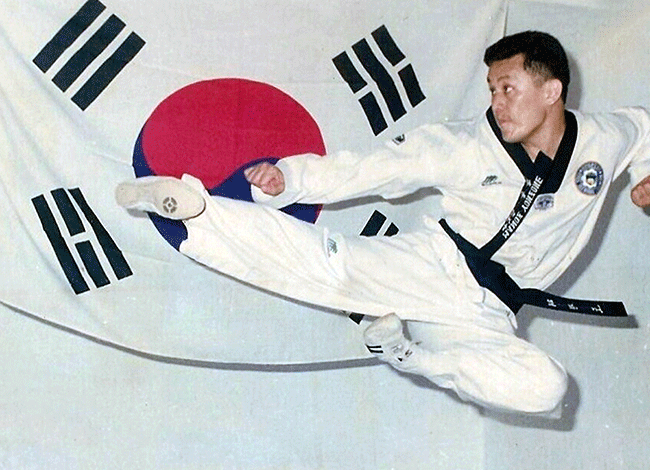 Taekwondo International Dojangs