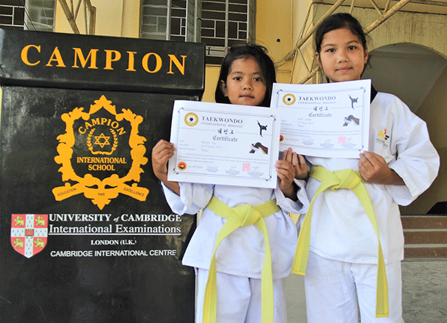 Taekwondo International Dojangs