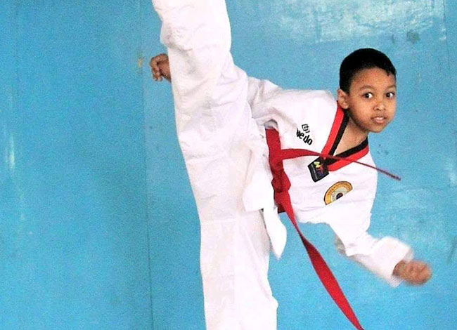 Taekwondo International Dojangs