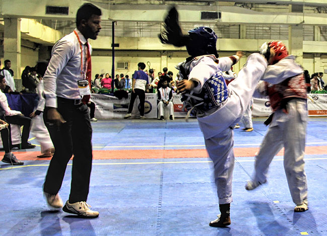 Taekwondo International Dojangs