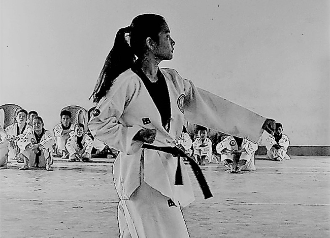 Taekwondo International Dojangs