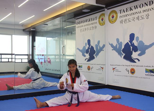 Taekwondo International Dojangs