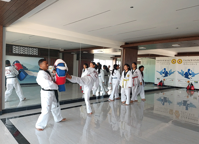 Taekwondo International Dojangs