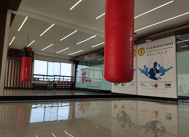 Taekwondo International Dojangs