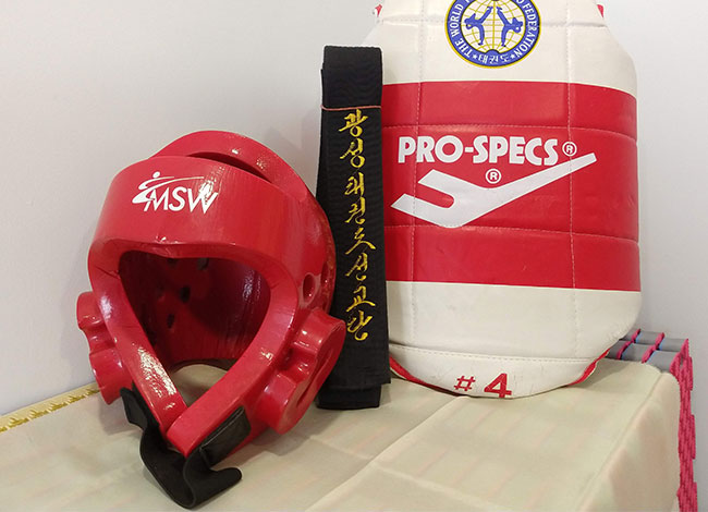 Taekwondo International Dojangs