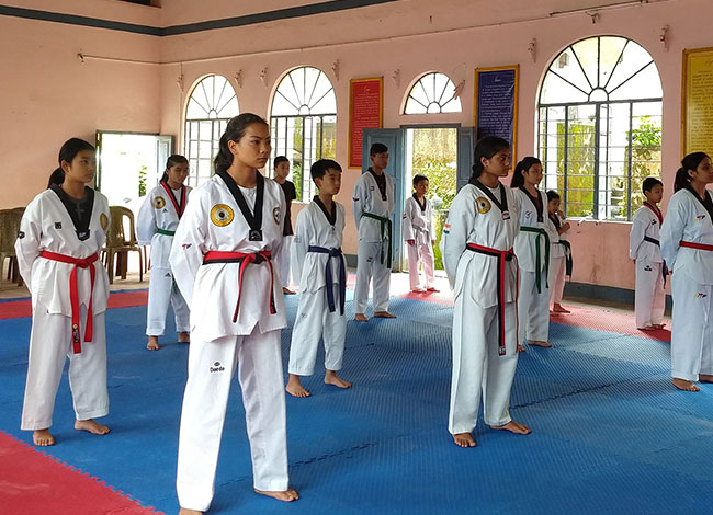 Taekwondo International Dojangs