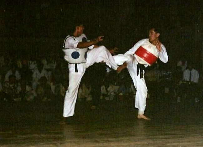 Taekwondo International Dojangs